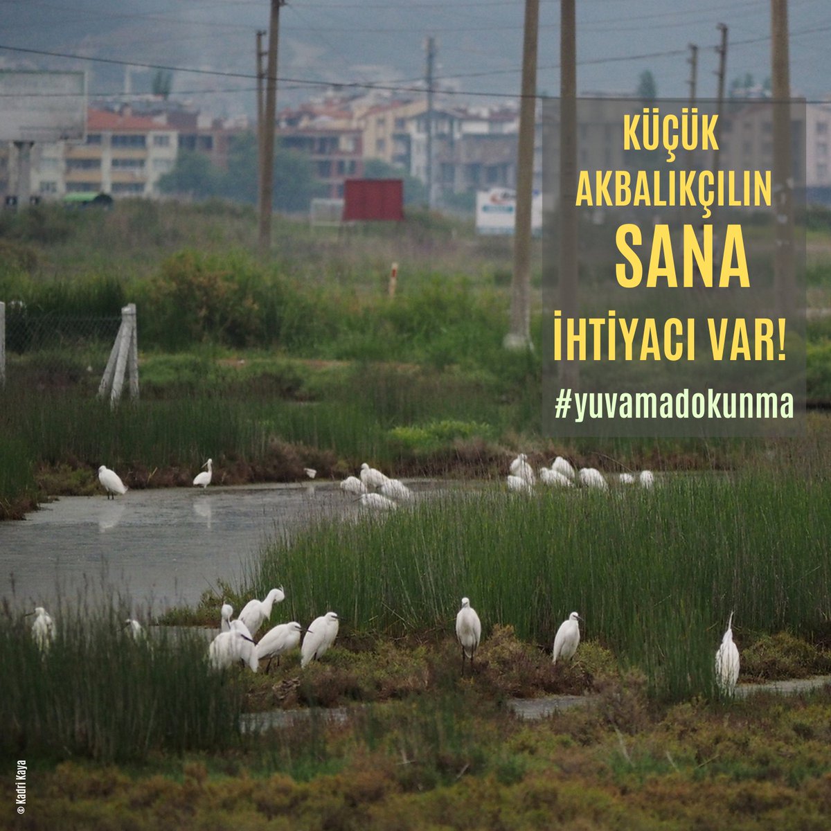 dakad17's tweet photo. @doguakdenizarastirma tarafından paylaşılan bu Instagram gönderisini gör https://t.co/Y1jHZZPeAO https://t.co/fkmC5D1EpP