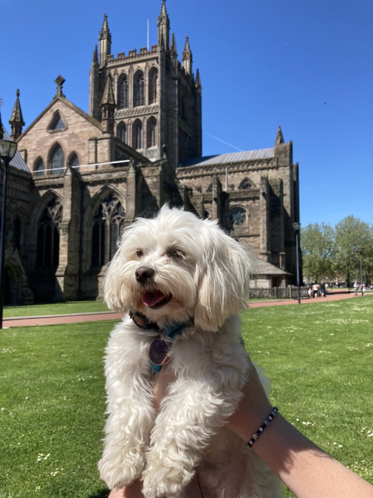 Jackmaltese2017's tweet photo. Lovely day to visit @HFDCathedral https://t.co/jydoBJWw9w