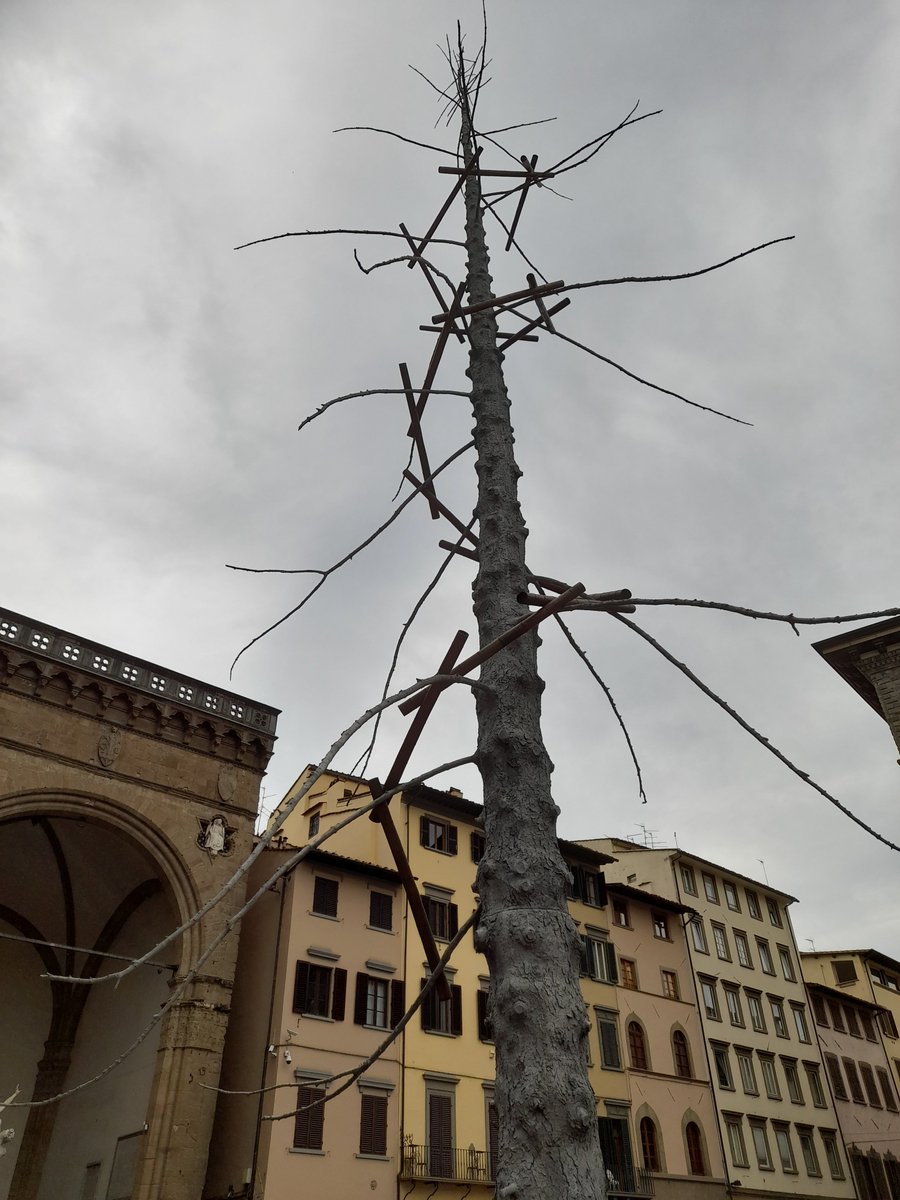 VeraSmnSchulz's tweet photo. Contemporary art in Florence in times of covid, JR's La Ferita (The Wound) and L'Albero del Paradiso (The Tree of Paradise) by Giuseppe Penone https://t.co/0vzfz3SQxy