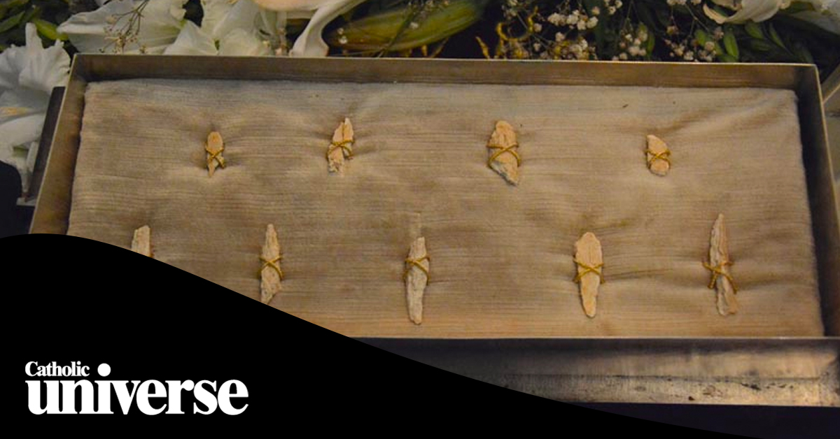 Scholar doubts new claim St Peter’s remains may be in forgotten tomb.

The remains of St Peter may have been and possibly still could be buried in catacombs under the Mausoleum of St Helena.

thecatholicuniverse.com/scholar-doubts…