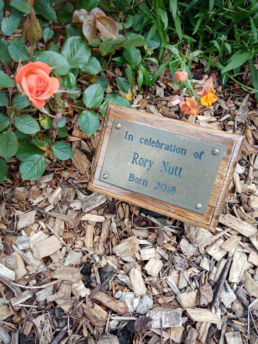 The Rose garden Brandon.