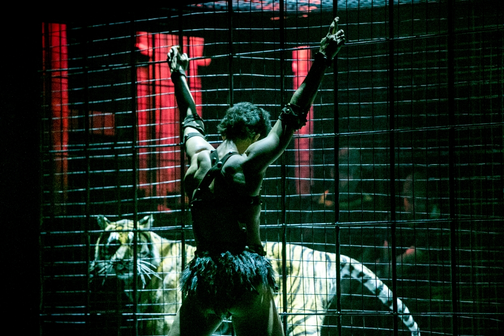 Dear patrons, there is a cast change in the evening performance of 'Spartacus'. Ivan Vasiliev is replaced by Ivan Zaytsev in the title role.

mikhailovsky.ru/en/afisha/perf…