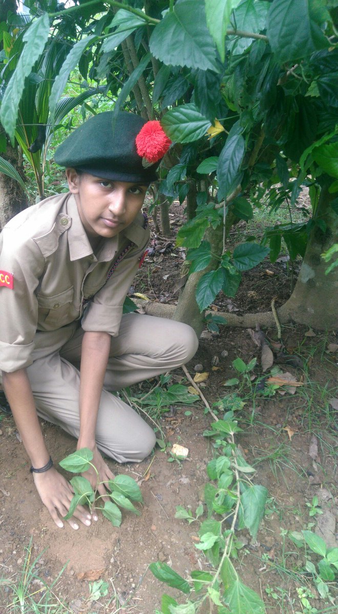 Carmel GHSS Vazhuthacaud (GhssCarmel) Twitter