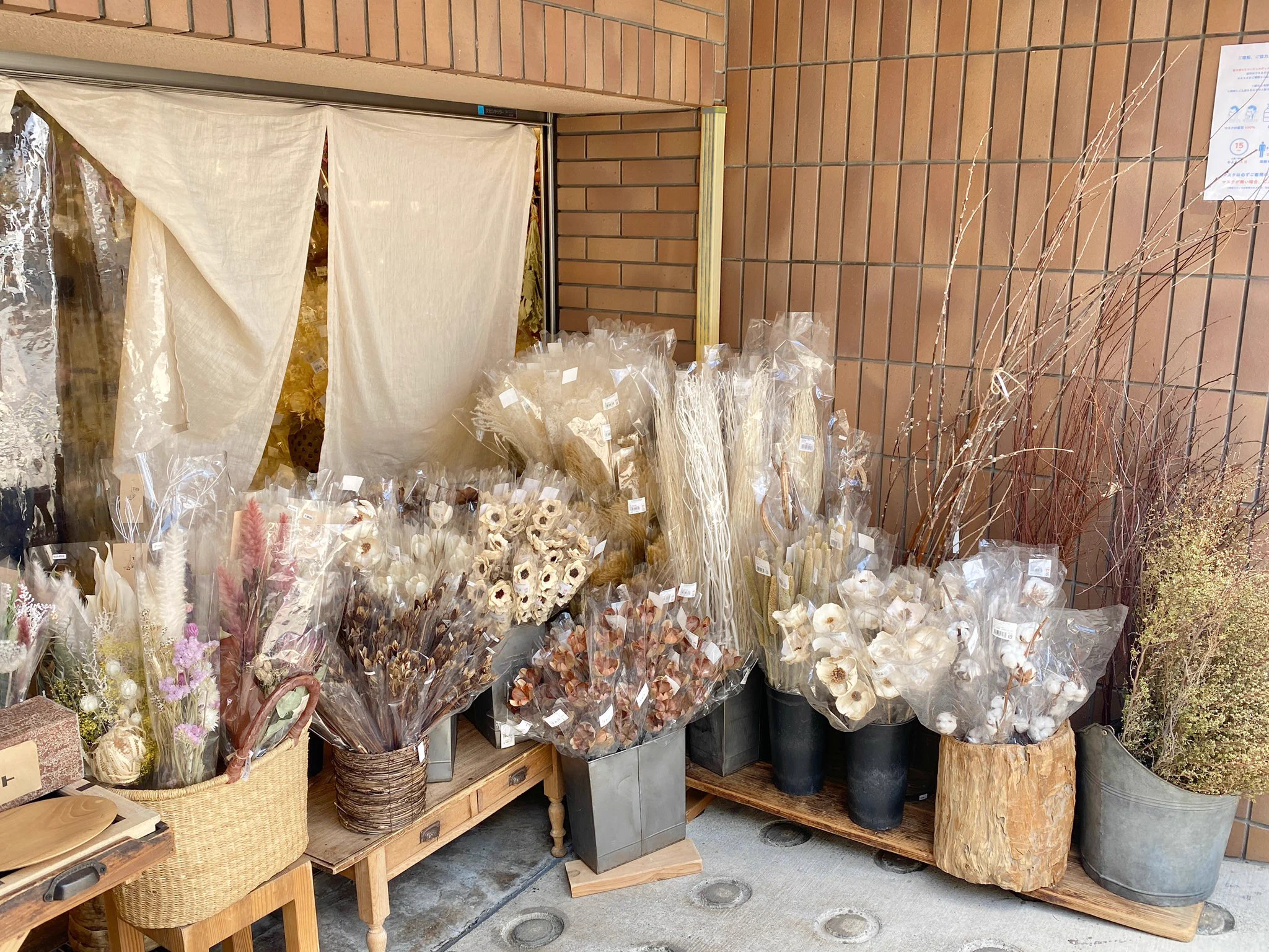 表参道・Tida Flowerが素敵！360度お花に囲まれた夢のようなドライフラワー屋さんに注目！