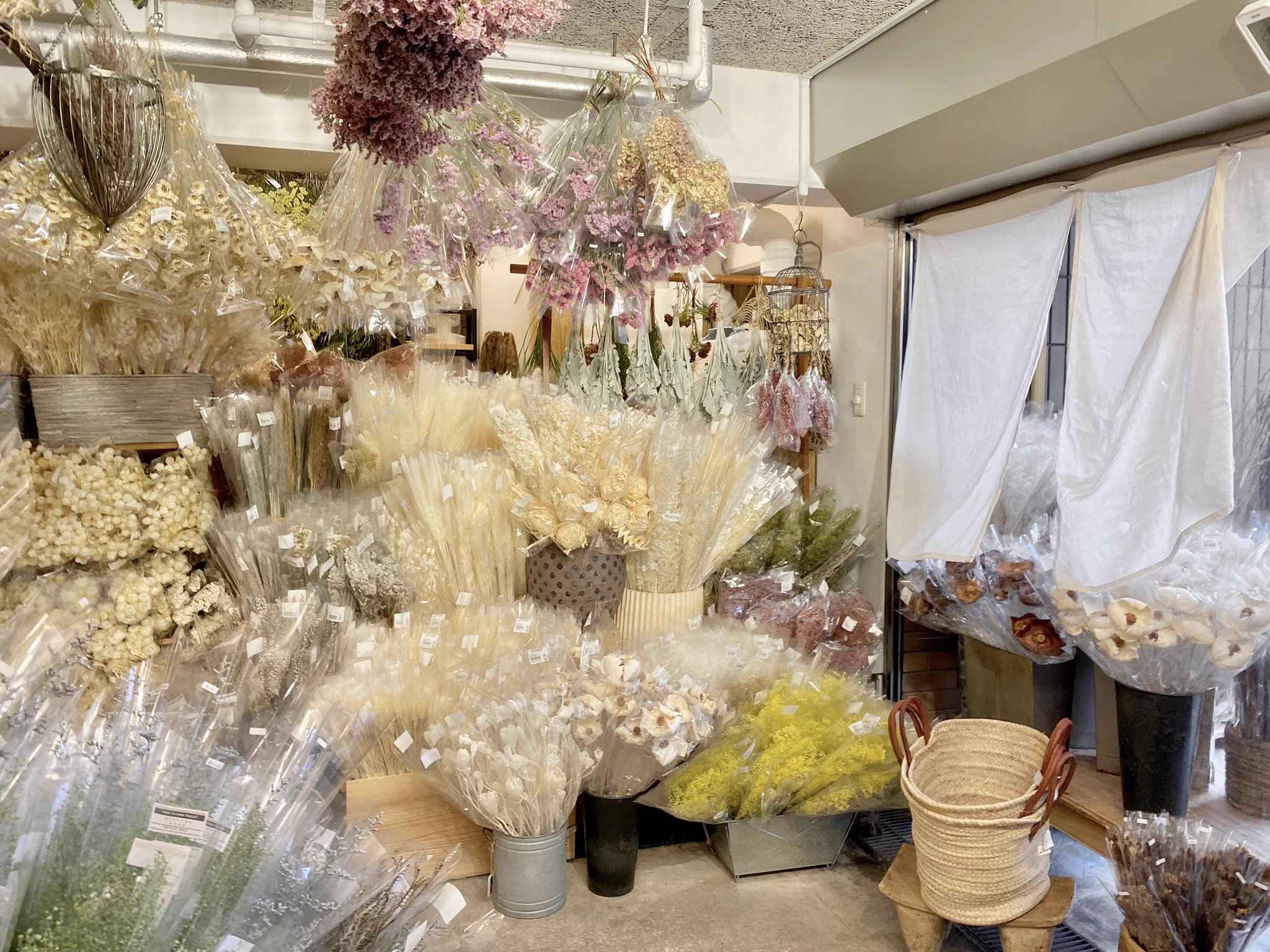 表参道・Tida Flowerが素敵！360度お花に囲まれた夢のようなドライフラワー屋さんに注目！