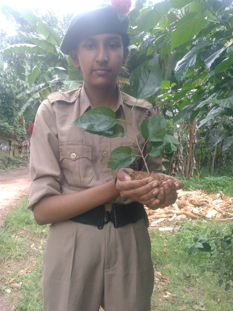 Carmel GHSS Vazhuthacaud (GhssCarmel) Twitter