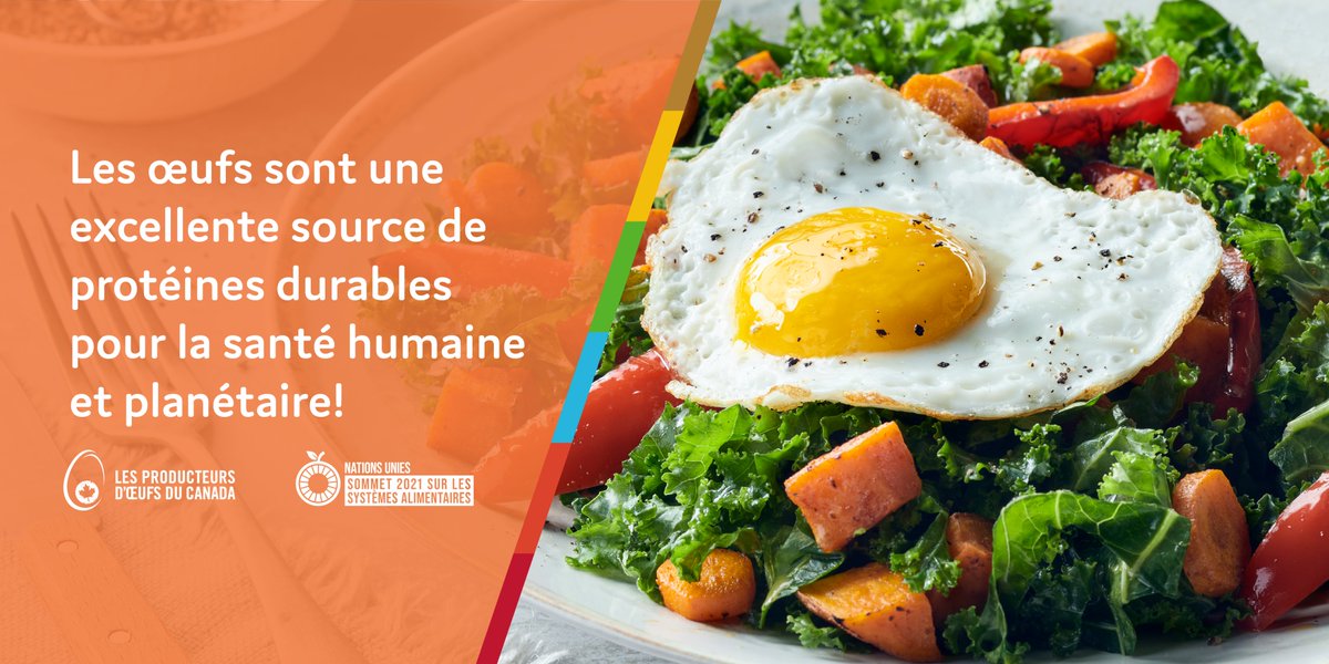 L’œuf, une des sources alimentaires naturelles les plus denses en nutriments, a un faible impact sur l’environnement. Lisez la suite pour savoir pourquoi les œufs sont bons pour la santé humaine et planétaire : bit.ly/33FJNY1 #JourneeMondialeDelEnvironnement