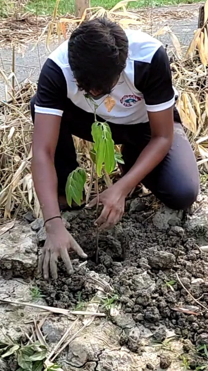 CscBargram's tweet photo. My area empty land , plant tree,As much as I can . #cscplantatree #WorldEnvironmentDay2021 #IndiasGreenFuture #cscBengal https://t.co/0CDUUkWrVb