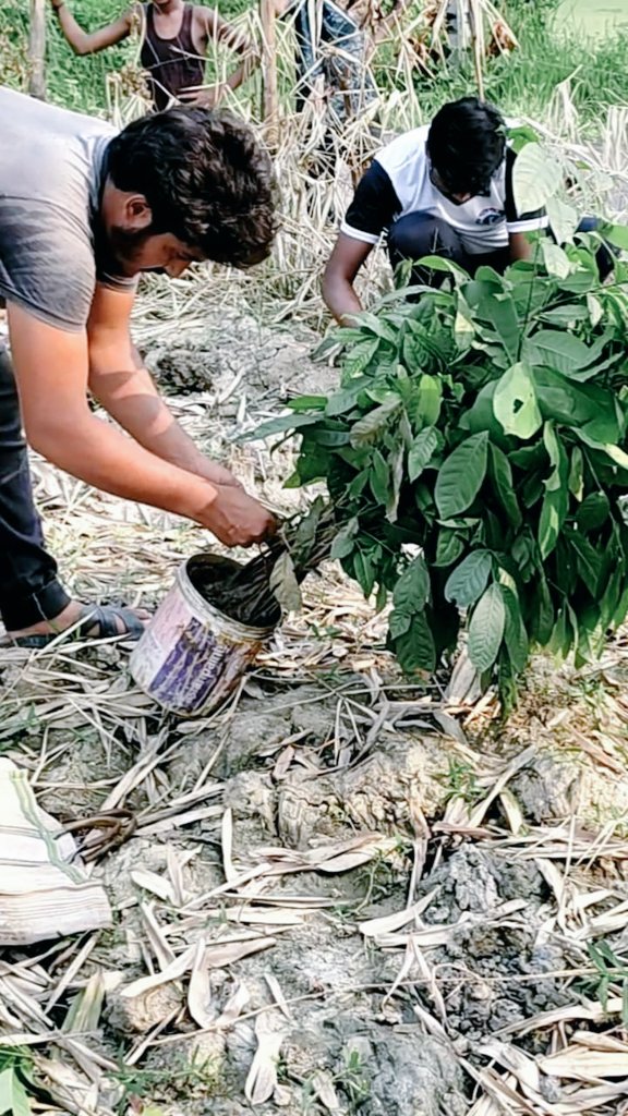 CscBargram's tweet photo. My area empty land , plant tree,As much as I can . #cscplantatree #WorldEnvironmentDay2021 #IndiasGreenFuture #cscBengal https://t.co/0CDUUkWrVb