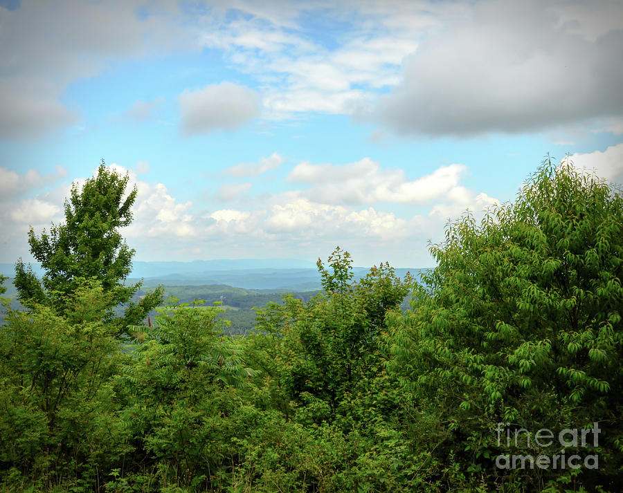 KerriFar's tweet photo. "To see the Summer Sky Is Poetry, though never in a Book it lie – True Poems flee –" ~ Emily Dickinson #quote #poetry ~ https://t.co/sLiNxQHb8G ~ #PipestemStatePark #WVViews #WVScenery #NewRiverNature #Photography ~ https://t.co/XTstLlGmLx https://t.co/qd3kcK0XLk