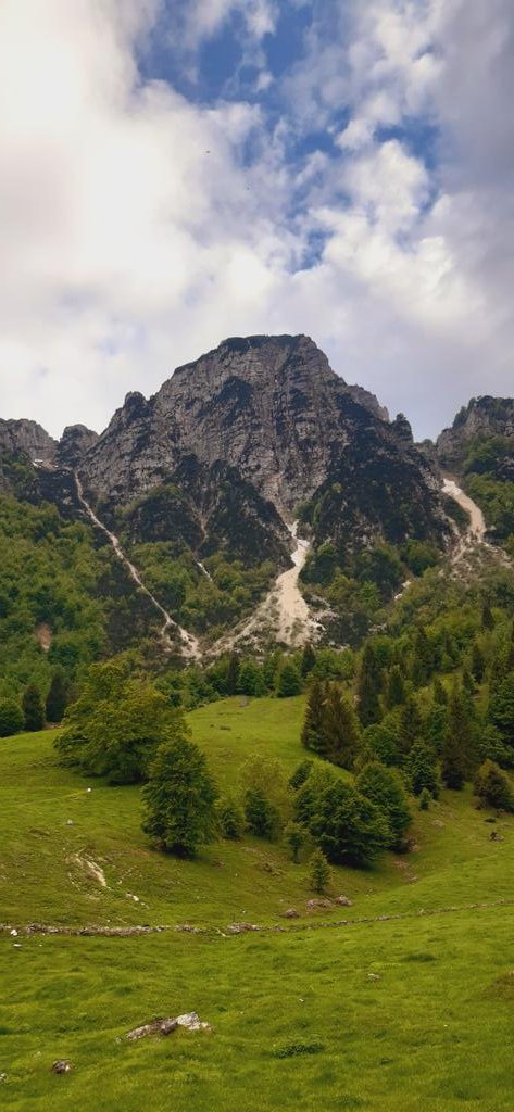 Sentiero dei Grandi Alberi
#RecoaroMille