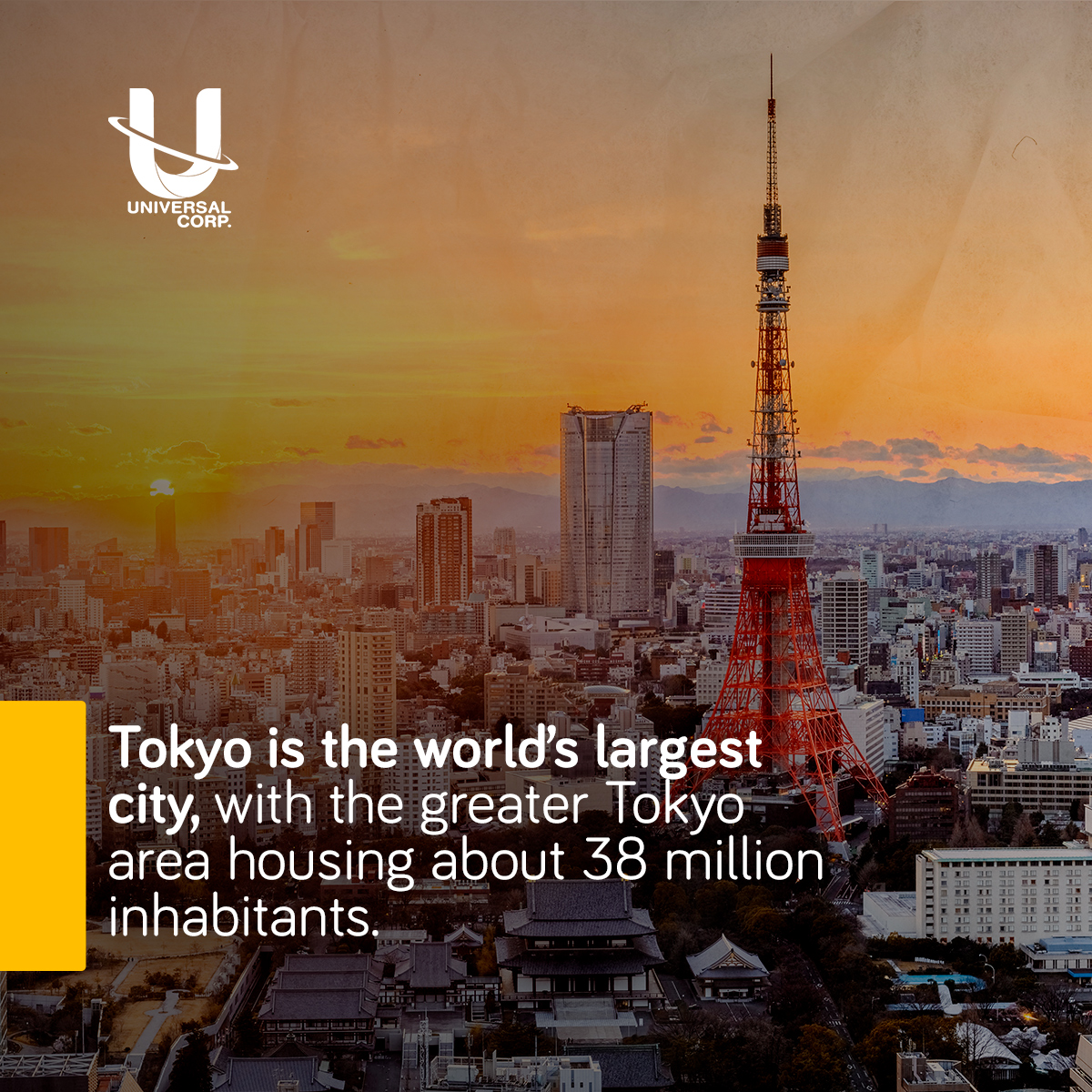 Corp_Universal's tweet photo. Hechos sobre el crecimiento urbano. 😁

1⃣. Alrededor del 54% de la población mundial 🌎 vive actualmente en zonas urbanas. 😱

2⃣. En la actualidad hay 28 megaciudades 😮, con una población de más de 10 millones de habitantes, frente a solo 10 megaciudades en 1990. 😉 https://t.co/KwI8sn5p4N