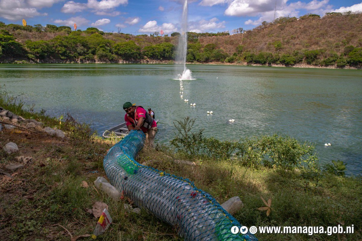 alcaldia_mga's tweet photo. ♻️En saludo al día mundial del ambiente y comprometidos con el cuido de nuestra Madre Tierra, Transportistas se unieron a la Jornada de Limpieza en la Laguna de Tiscapa e instalación de una Nicabarda, para reducir los efectos de contaminación de este manto acuífero

🚯✅🌍 https://t.co/Qlckdw8Rct