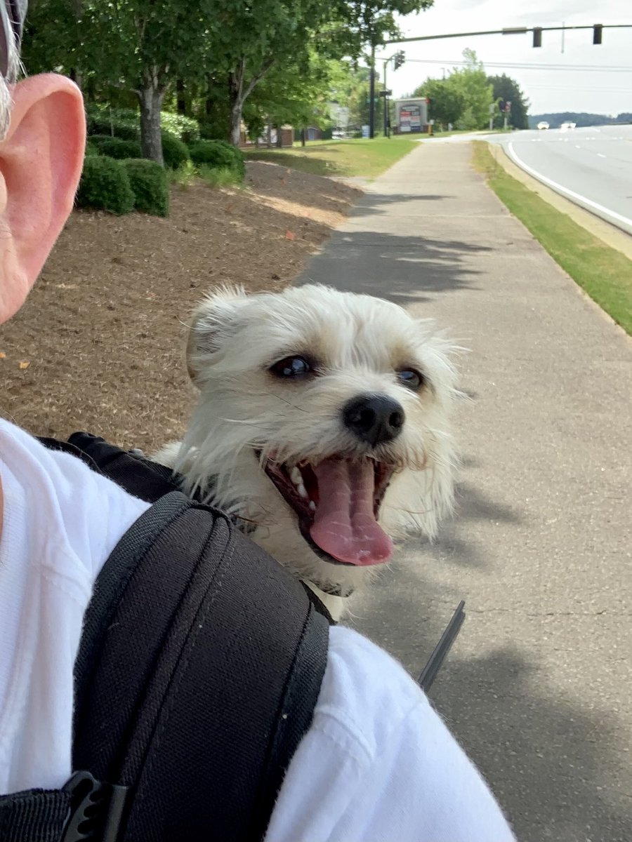 AxelGaertner's tweet photo. @jack_ortolano Skill it takes to bike and take photos like this. https://t.co/hPtX75izTp