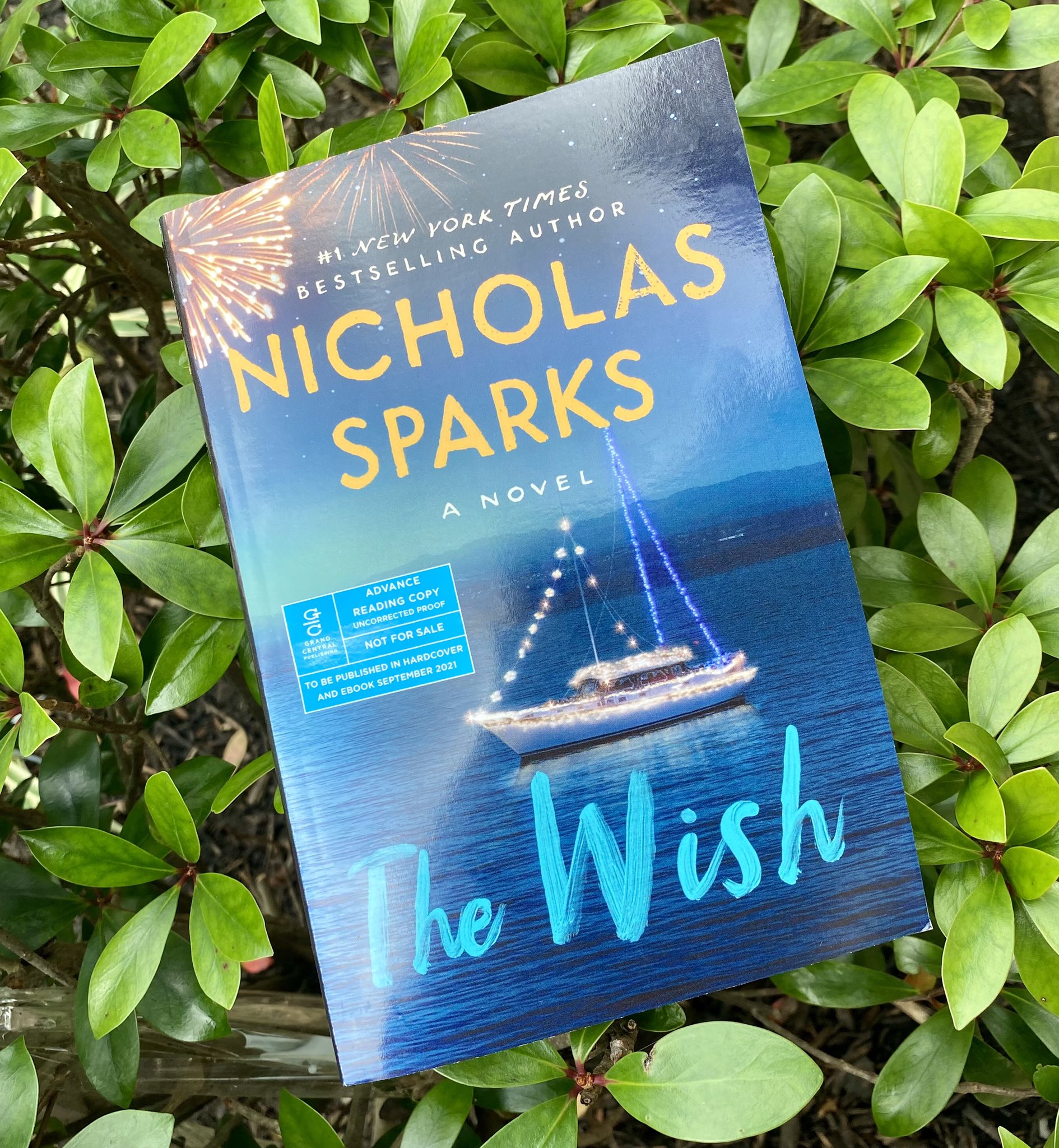 The Wish Nicholas Sparks تويتر \ Nicholas Sparks على تويتر: "Want To Know More About My Upcoming  Novel, #Thewish, Or Have Any Other Burning Questions About Writing Or My  Other Books? Submit Them Below For Your