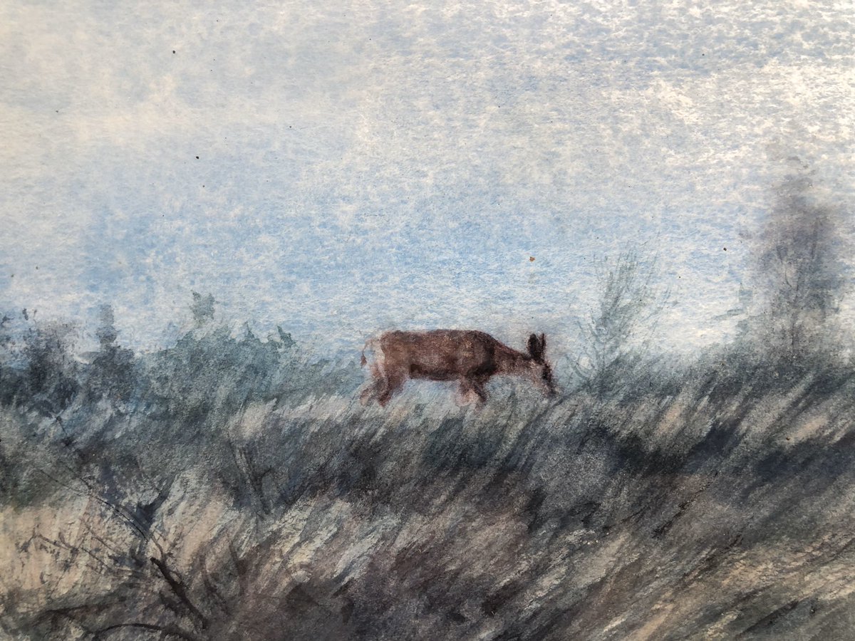 laosen (@laosen2) on Twitter photo 