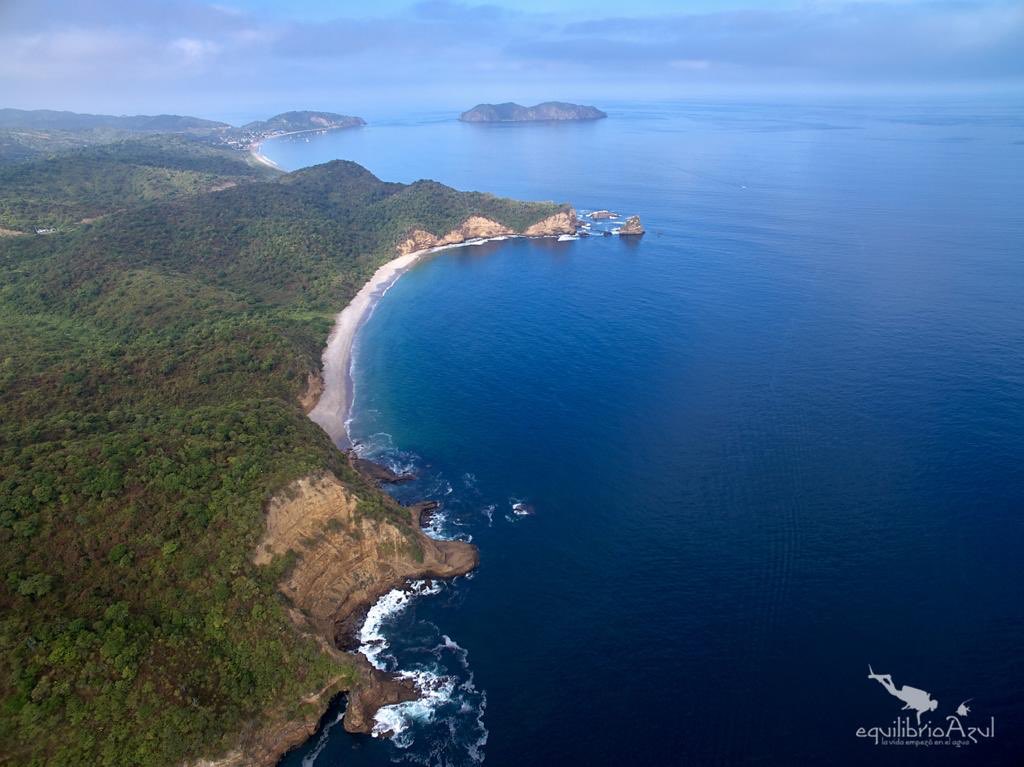 El Parque Nacional Machalilla está EN PELIGRO. No podemos permitir la destrucción de nuestro patrimonio natural. La playa más importante para la anidación de tortugas carey está siendo invadida por supuestos “propietarios”. <a href="/LassoGuillermo/">Guillermo Lasso</a> <a href="/GustavoManriq_M/">Gustavo Manrique M.</a> @nielsolsenp