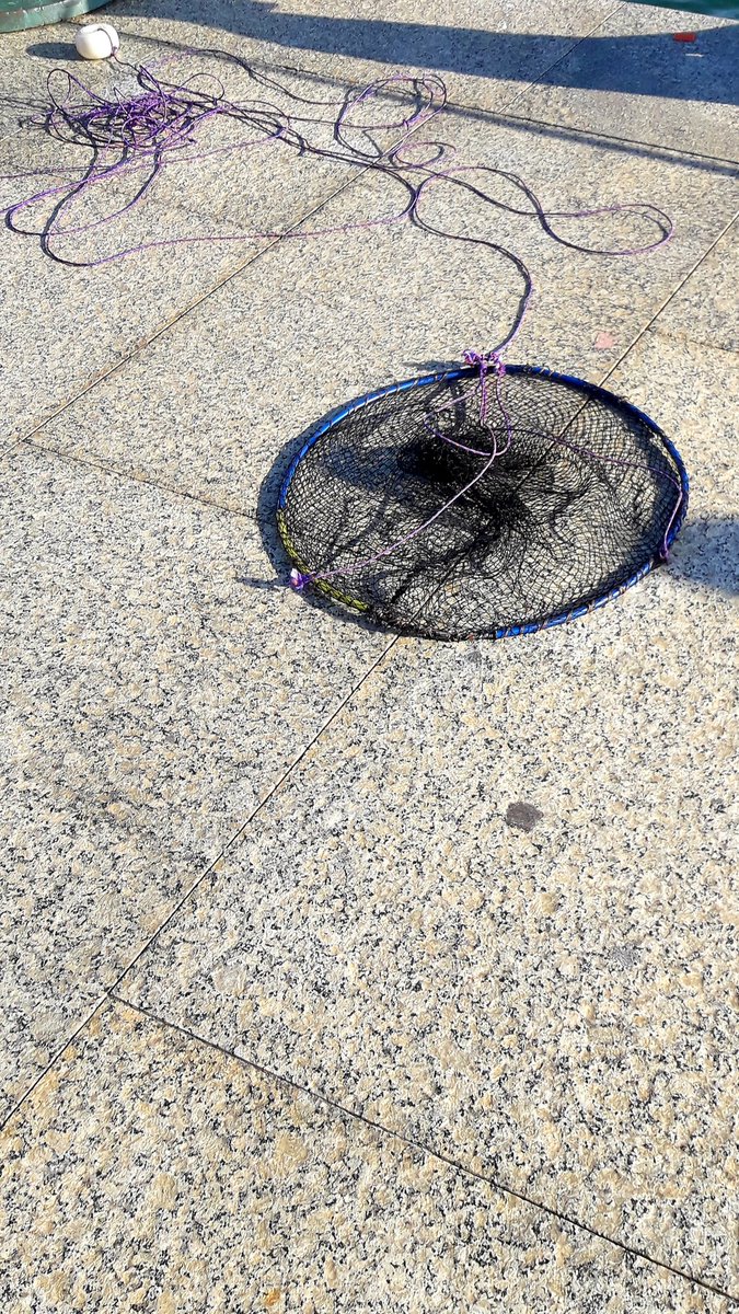 Apez140's tweet photo. #Instantes
De otro #Retel sobre un Muelle de la Bahía lejano ya día...🧚♂️😎 https://t.co/mWeydvyGs9
