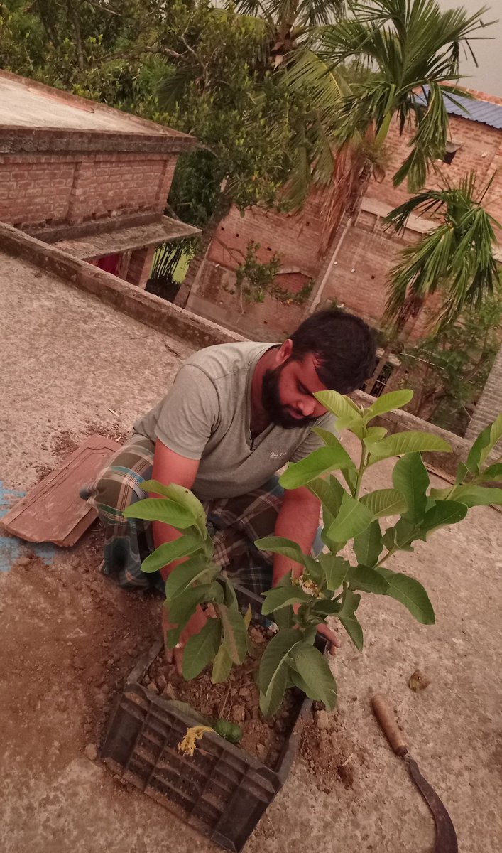 SingerMinhaj's tweet photo. #PlantWithSio 
#WorldEnvironmentDay https://t.co/T5QtngK9O0