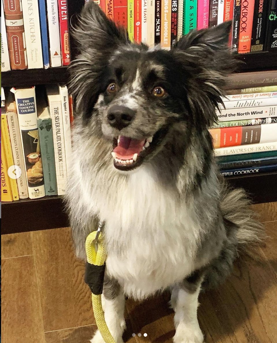 No one else had a chance at winning the Best Customer of the Day trophy 🏆 once Miss Mo walked into the store. <a href="/miranda_raquel/">Raquel Miranda</a>