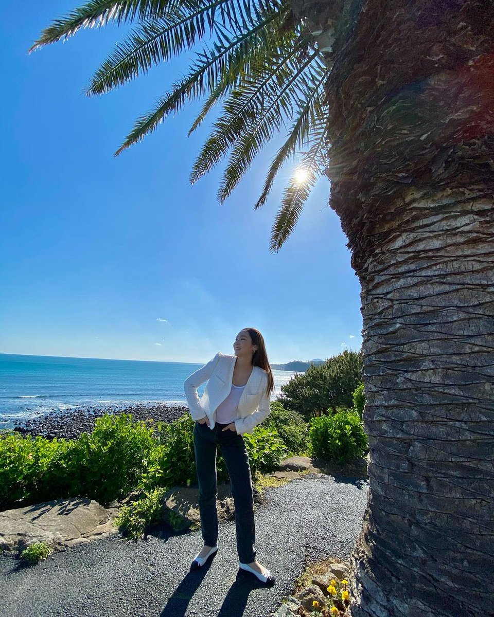 Jessi__sy's tweet photo. Find me under the palm tree🌴 https://t.co/SOnsNLFqt3