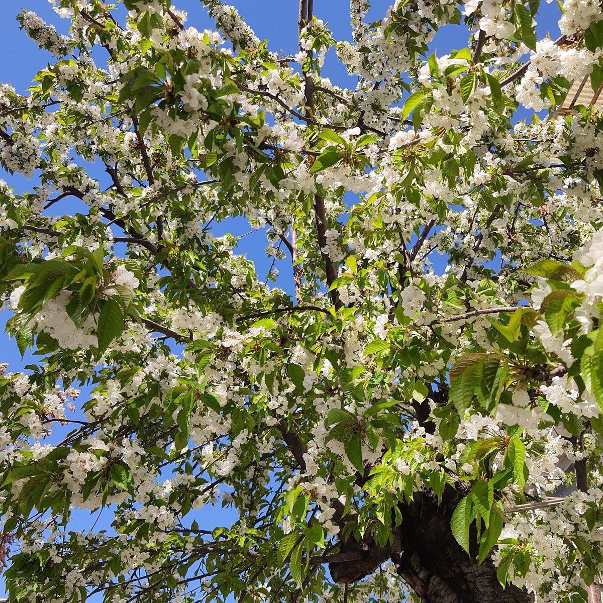 Toprağa dokun, onu hisset ve  unutma doğa bize emanet..

Özellikle karar verici makamında olan siyasiler, yöneticiler doğanın son uyarısı olan Marmara'nın durumunu göz önünde bulundurarak onunla savaşmaman gerektiğini unutma.

#DünyaÇevreGünü kutlu olsun.