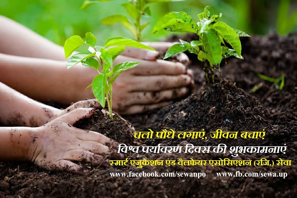 #saveenvironment #WorldEnvironmentDay #WorldEnvironmentDay2021 #EnvironmentDay2021 #EnvironmentDay