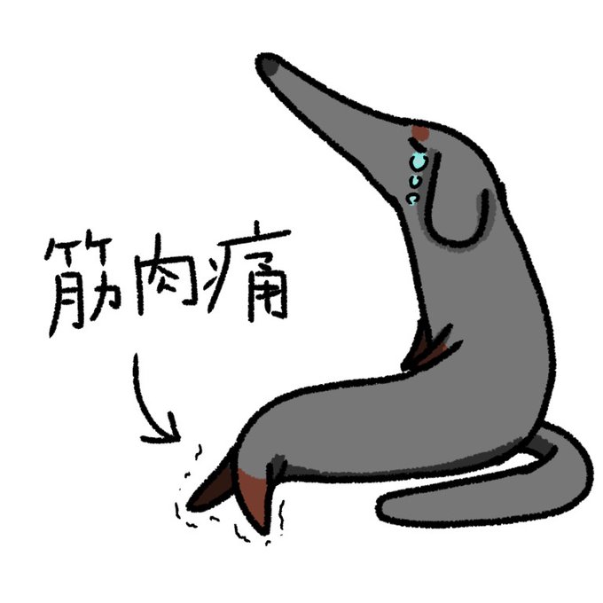 一日一いぬのtwitterイラスト検索結果 一日一いぬのtwitterイラスト検索結果