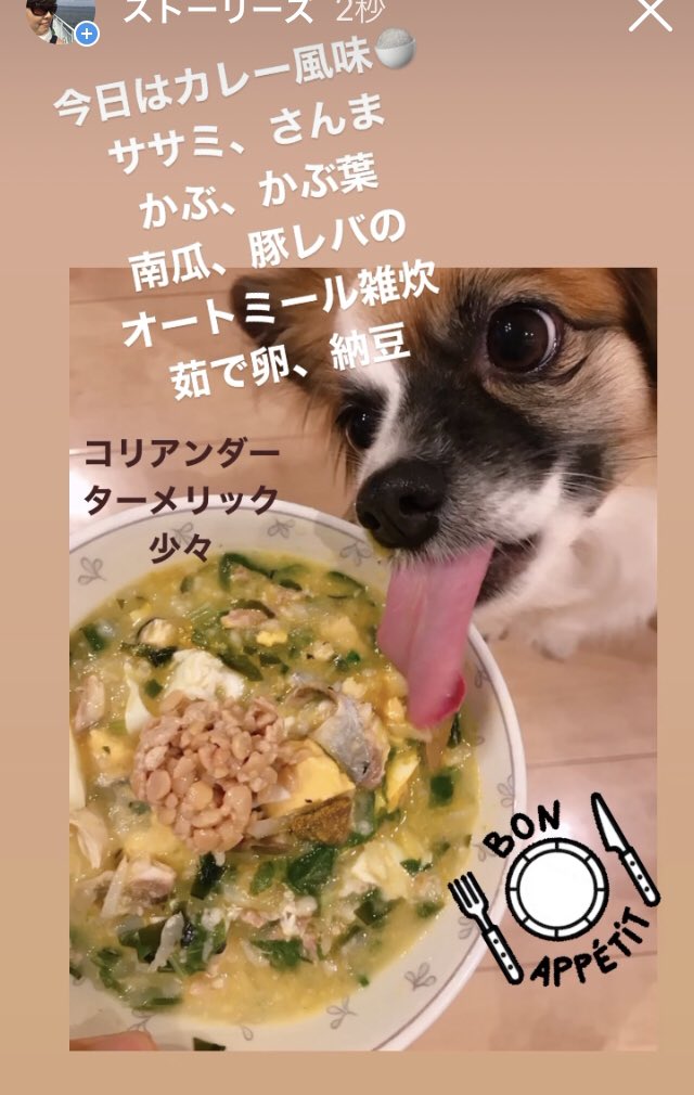 ゆりらぶ 愛犬ごはん 今夜の犬ごはん ちょっとカレー風味にしてみました 辛くないスパイスならok むしろ薬効を期待してオススメですよ 手作り犬ごはん ペット食育准指導士 ペットフーディスト 犬好きさんと繋がりたい T Co