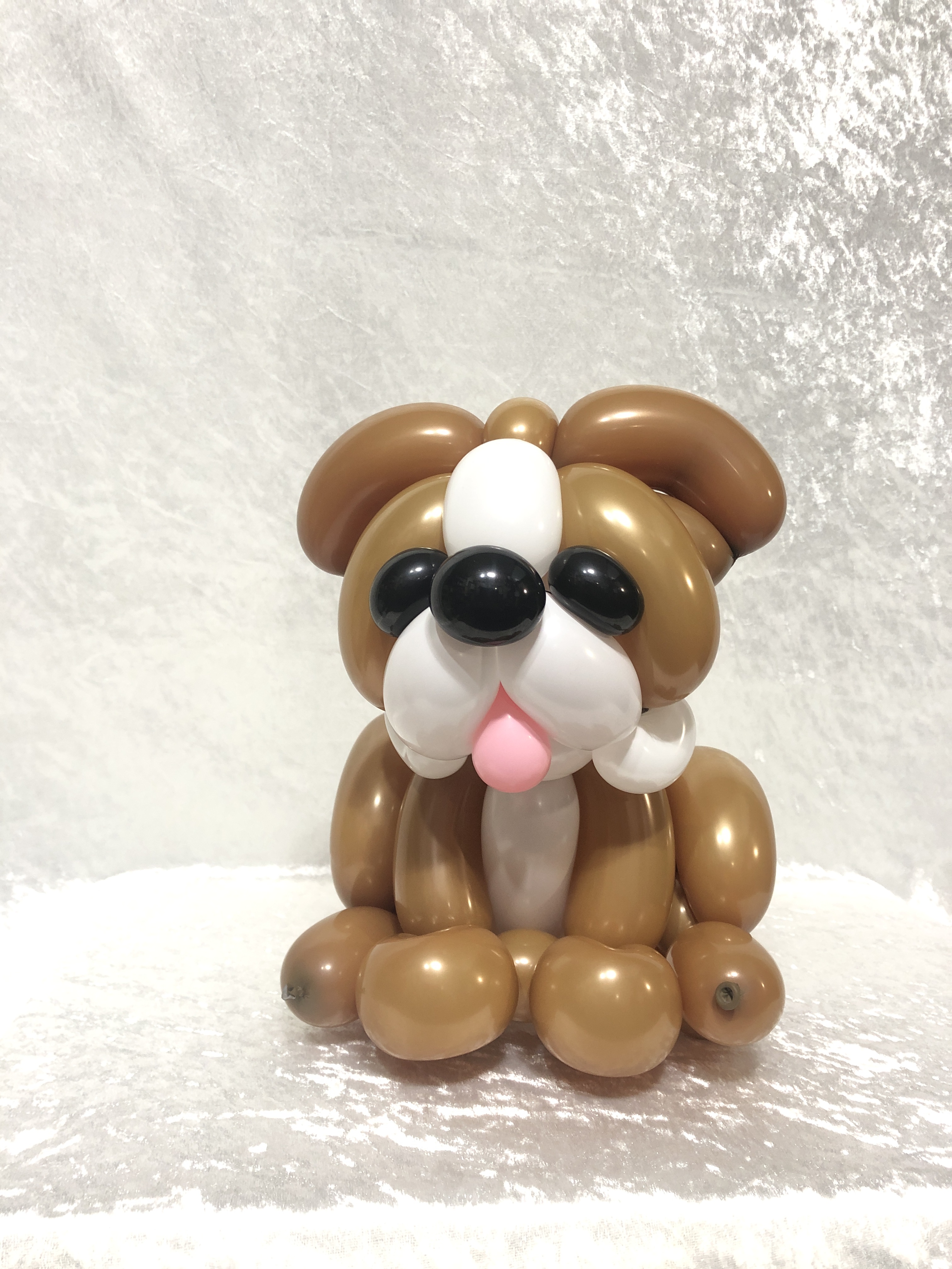 パントマイムアーティスト 前田秀 バルーンアート作品 犬 材料 茶3本 白1本 目 鼻 舌 作りながら何の犬種にしようか考えたが 結果的にブルドックちゃんになりました バルーンアート T Co 5uwhmjiklk Twitter