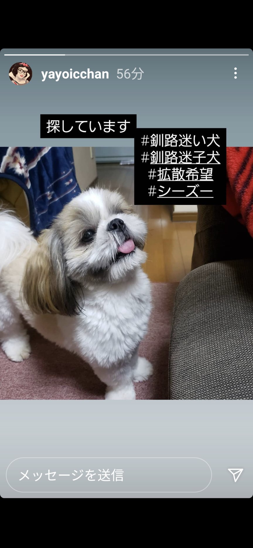 釧路迷い犬 Twitter Search Twitter