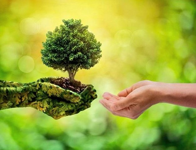 Rishabhrish1248's tweet photo. क्या पेड़ लगाना भी विकास कार्य हैं.....!!
#WorldEnvironmentDay
#Save_Tree_Save_Lives
@itsabsr @Shaktidema @varmajay1 @its___vineet @berojgar_baba1 https://t.co/GtDQK15hAs