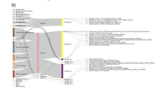 Naftali Kaminski tweet media