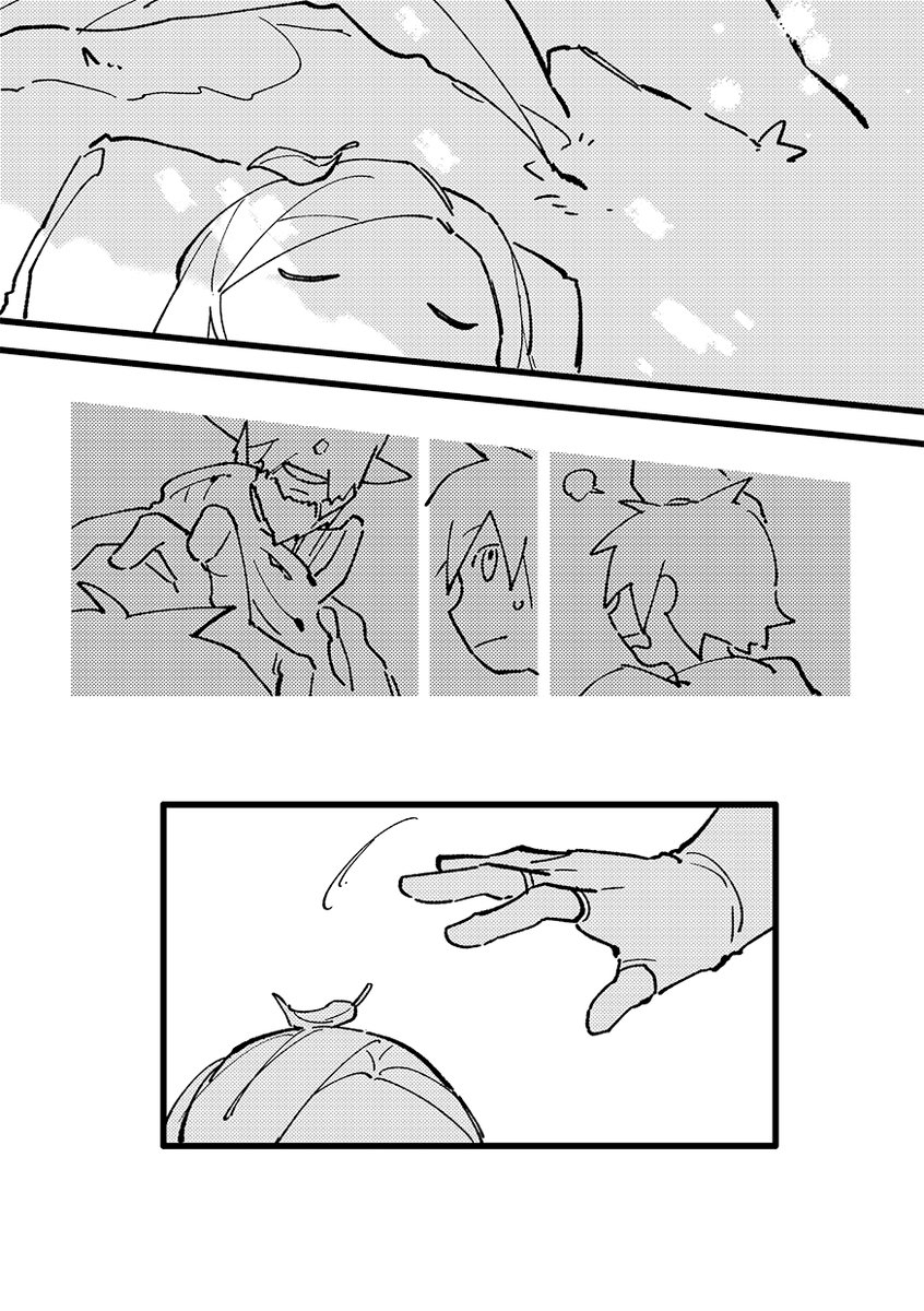 (2/3) 