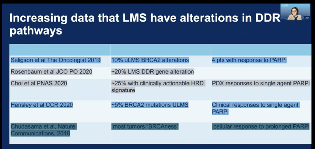 breelynwilkyMD's tweet photo. more preclinical studies of altered DNA damage repair as a feature of LMS, especially uterine. p/b Suzanne George #womeninsarcoma #sarcoma #ASCO21 poster discussion https://t.co/Za0dIdXZwx