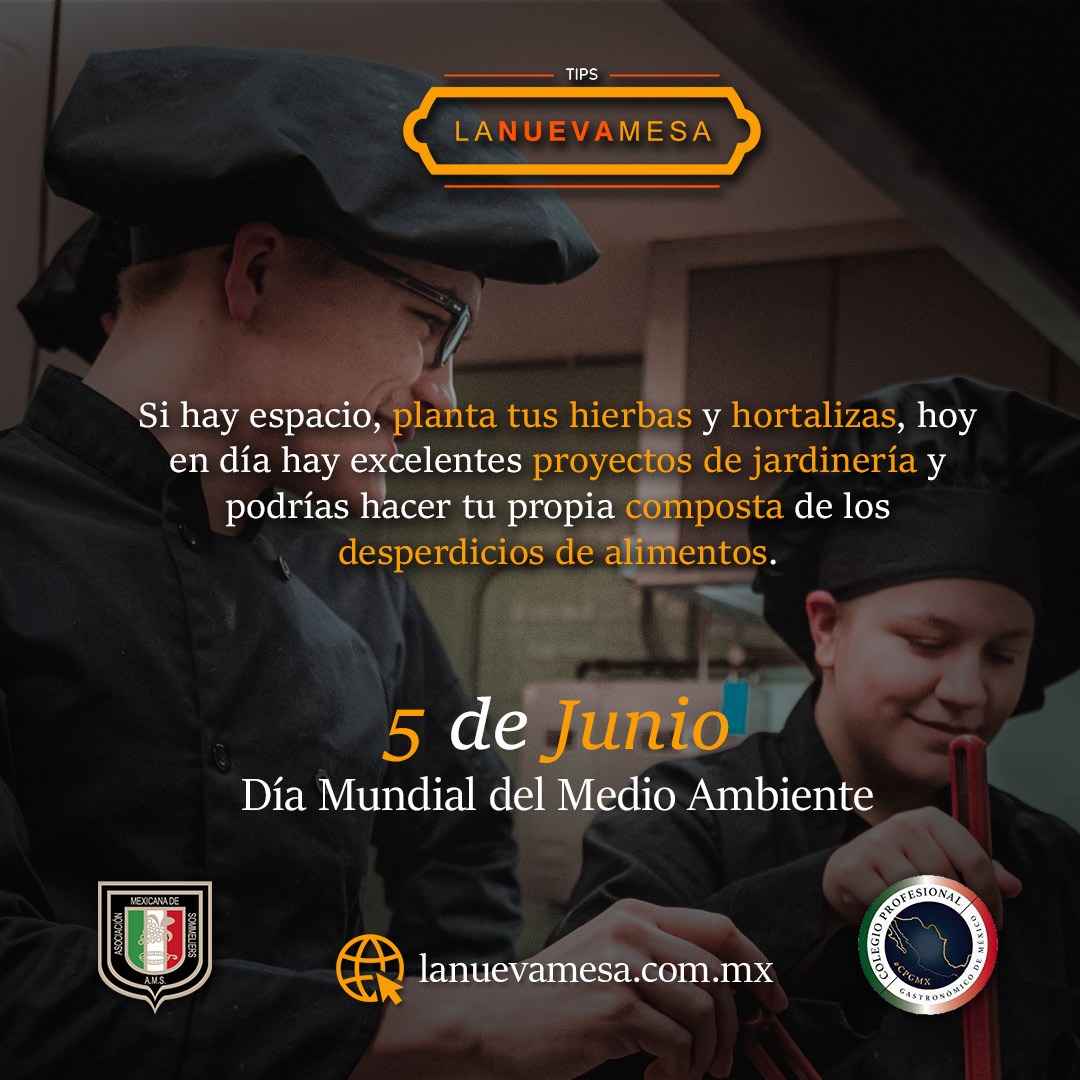 _Amsmx tweet picture