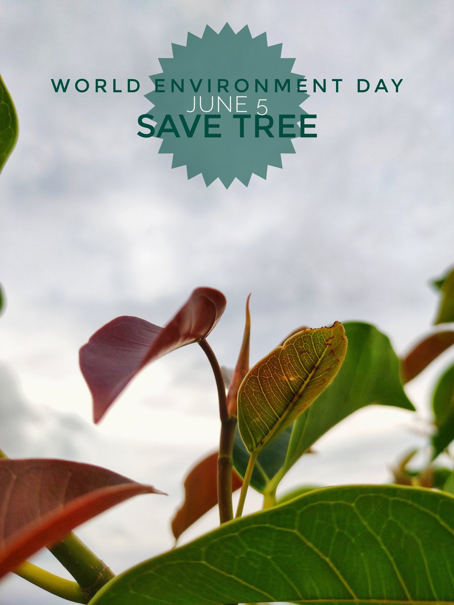 kasilingam_m's tweet photo. உலக சுற்றுச்சூழல் தினம்
#worldenvironmentdayday #environment
.
.
.
.
#silentgraphy #silentgraphylove #savetrees #tree #worldcreativityday #worldearrhday #world #worldclick #worldcreativityandinnovationday #worldwide https://t.co/eph4ewbYZN