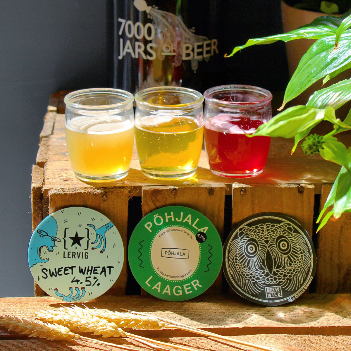 7,000 Jars of Beer tweet media