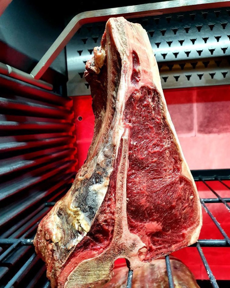 𝐎𝐇 𝐇𝐄𝐋𝐋𝐎 𝐓𝐇𝐄𝐑𝐄, 𝐁𝐄𝐀𝐔𝐓𝐘!
_
It's Saturday! Who is ready for a great BBQ tonight? 
🍖🔥🥩🥓

#dryager #meattime #mymeat #instameat #dryaged #dryagedbeef #dryagerlove #tomahawk
📸: <a href="/sergio_ivanoff/">Sergey Ivanov</a> @primebeefacademy – Thanks for sharing!