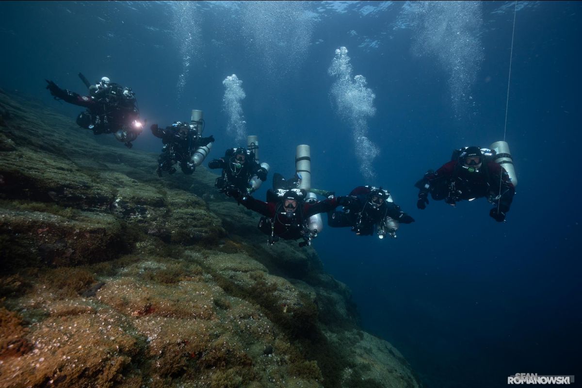 TWWs are back for 2021! - mailchi.mp/9201709893e2/n…