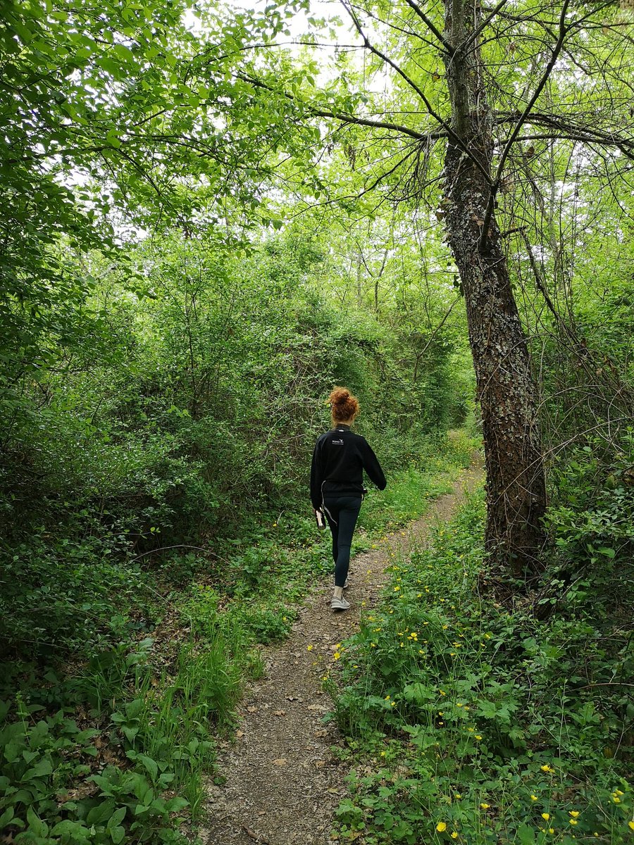 L'ultima mia proposta è questa:
se volete trovarvi,
perdetevi nella foresta

Giorgio Caproni 'Per le spicce'

#giornatamondialedellambiente

📷Per non perdermi seguo mia figlia 🌲😍🌳