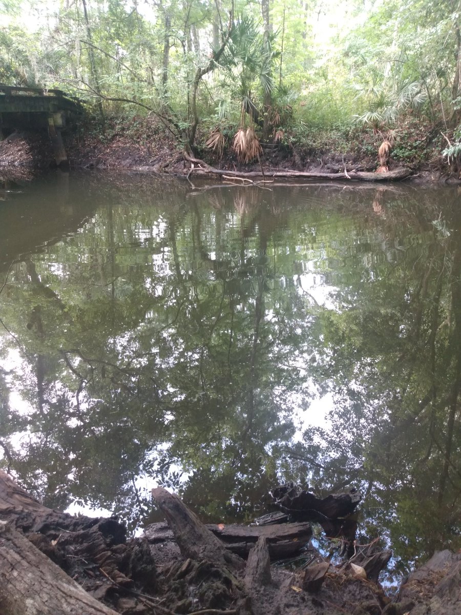 Hiking and camping in the Florida heat means we need to find a water source