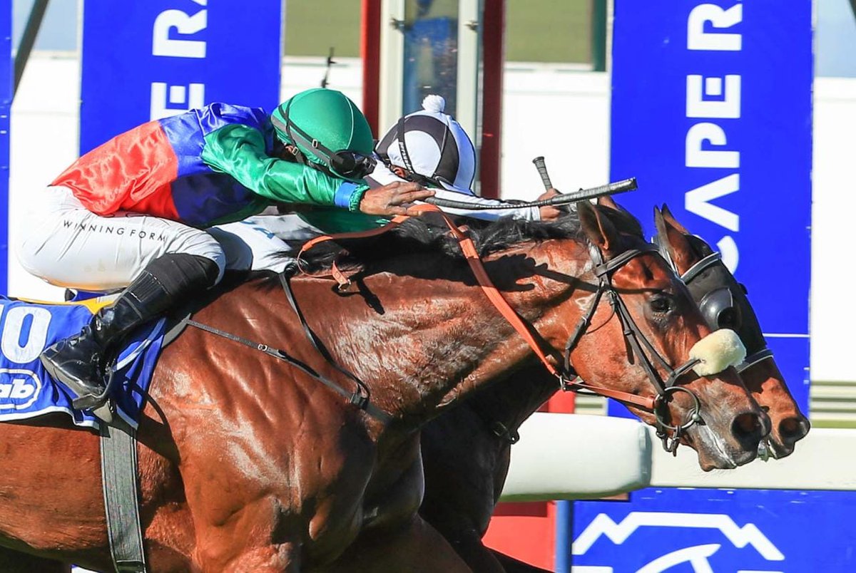 RaceCoastZA's tweet photo. DEAD HEAT and a TREBLE at Kenilworth today 🔥👏

#CapeRacing https://t.co/e7RqZ81QLe