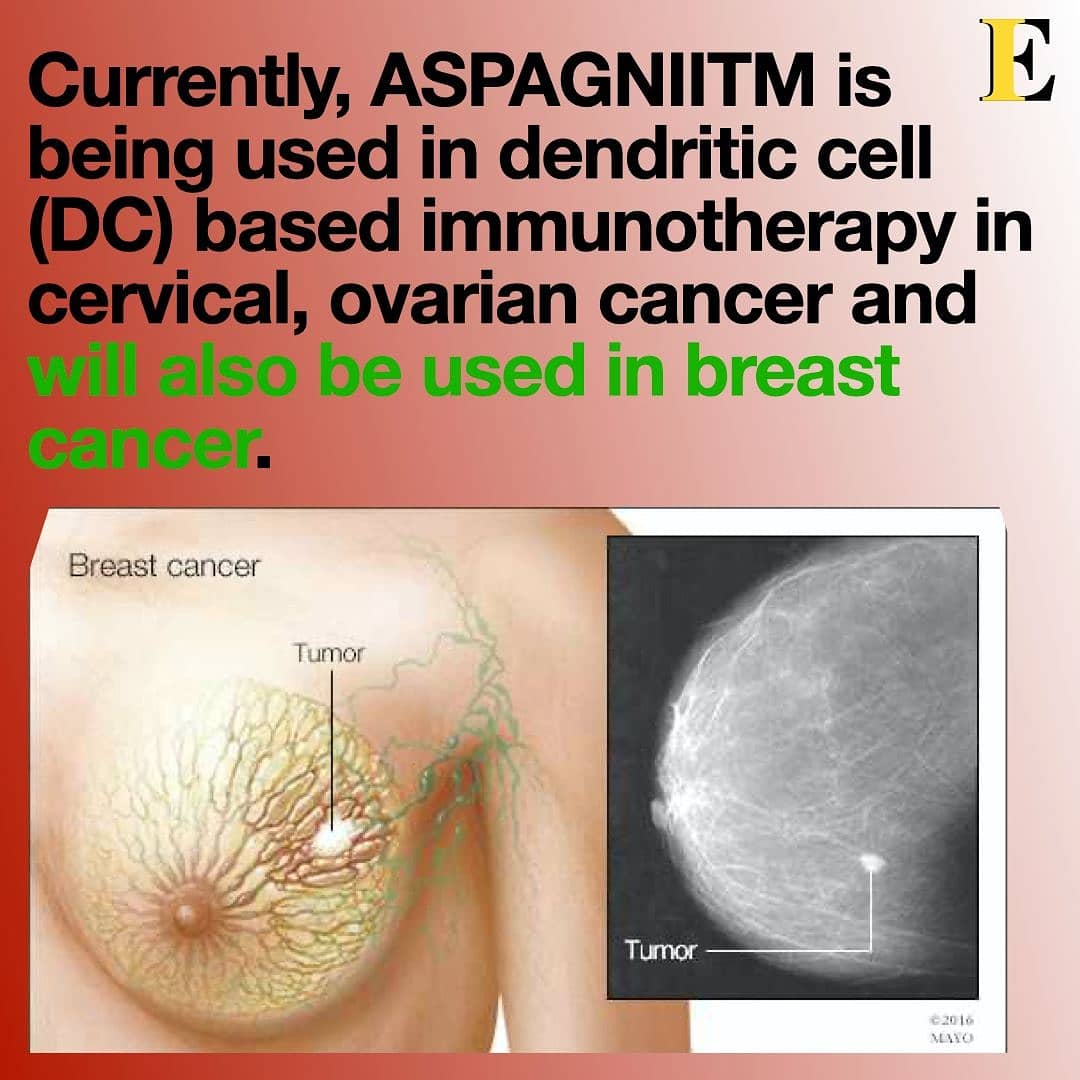 egalias_in's tweet photo. India's first indigenous tumour antigen SPAG9 was discovered by Dr Anil Suri. ASPAGNII is being used in dendritic cell (DC) based immunotherapy in cervical, ovarian cancer and will also be used in breast cancer. @egalias_in #fightagainstcancer #egalias #breastcancer #immunity https://t.co/4gX7RJskyX