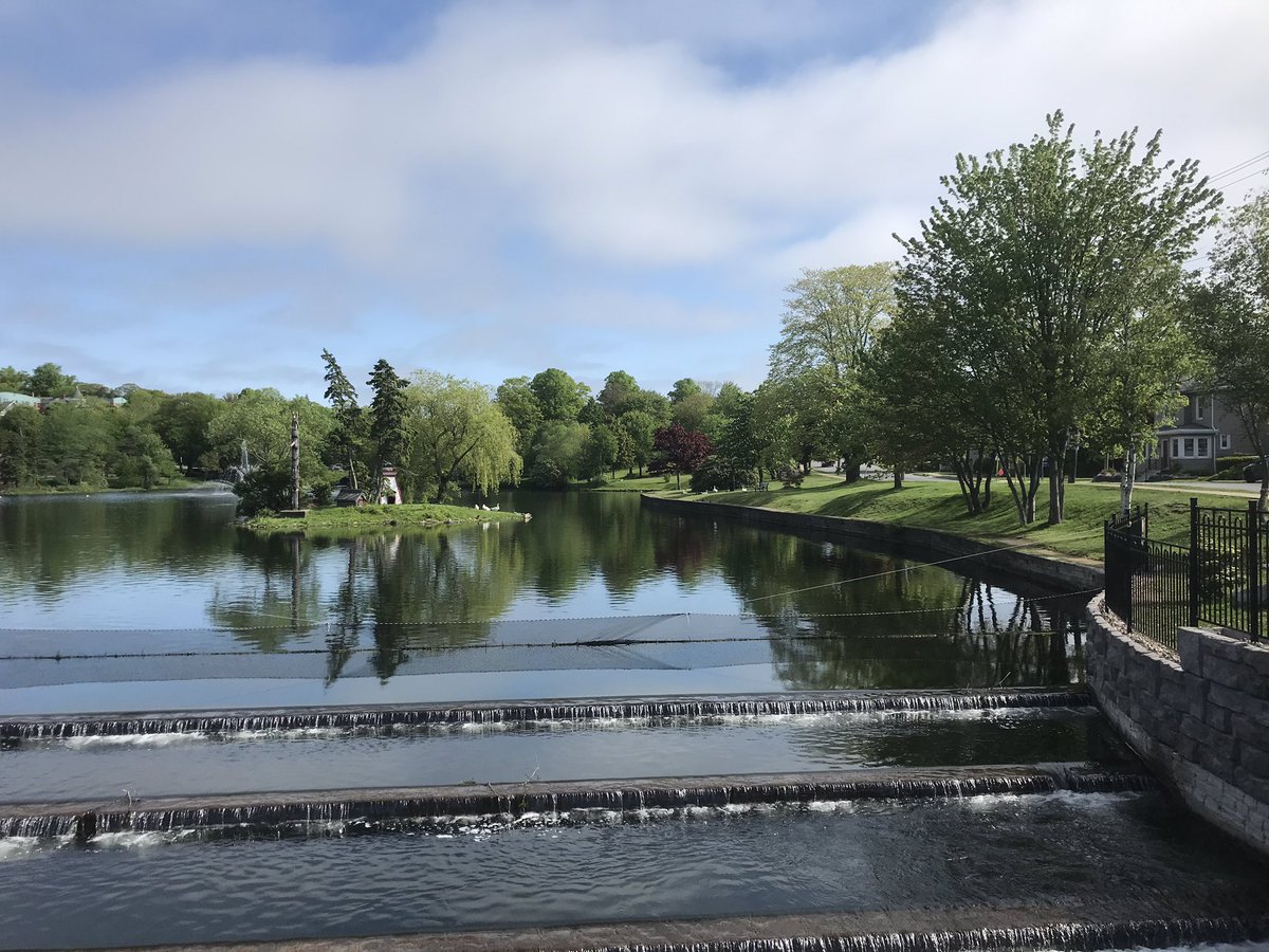 LeoCarterCTV's tweet image. Great morning in Dartmouth for walking in the virtual #ALS #walkstrong event in support of ALS Society of NB&amp;amp;NS. My @CTVAtlantic colleagues walk and remember each year our former colleague (and my cousin) Patrick Dunne.