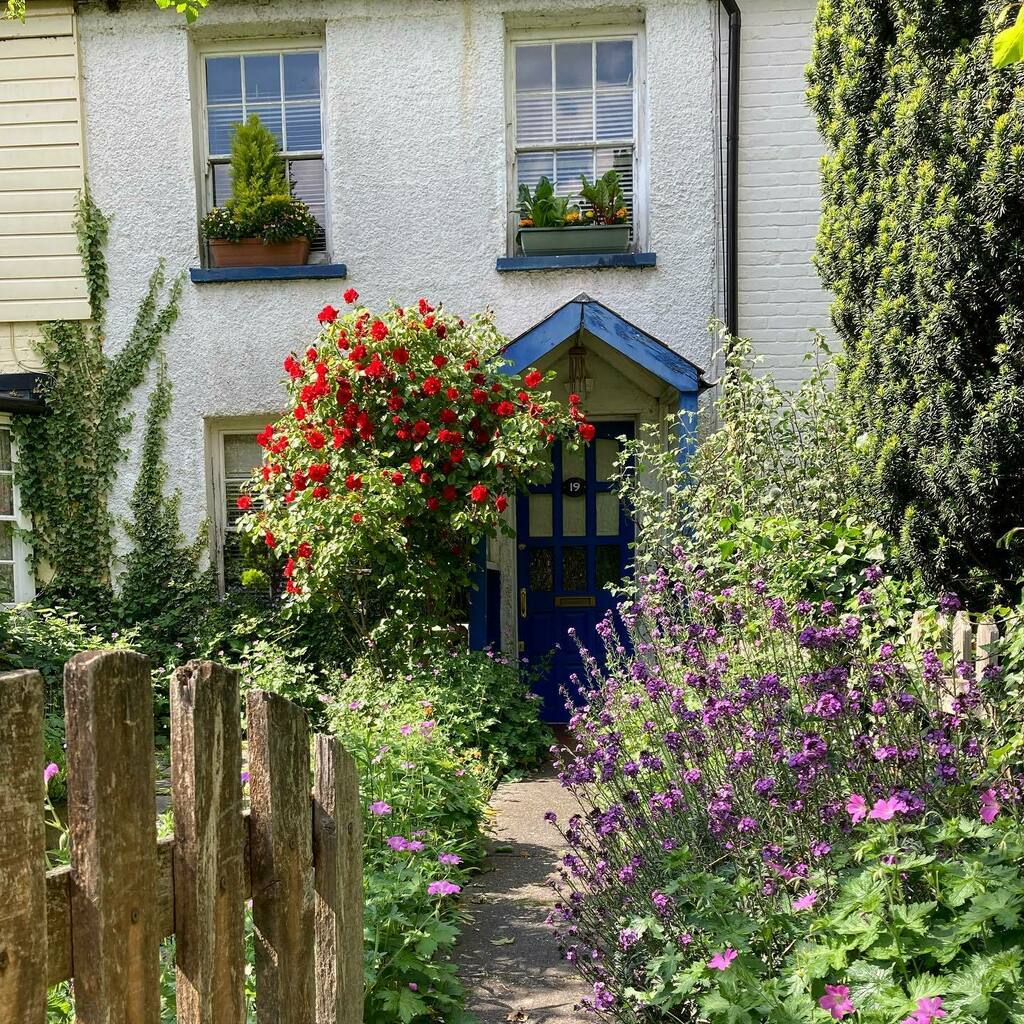 Cottage view on Church Path in the village. Recently featured in Rightmove tv ad only it was winter so it looks even better now!