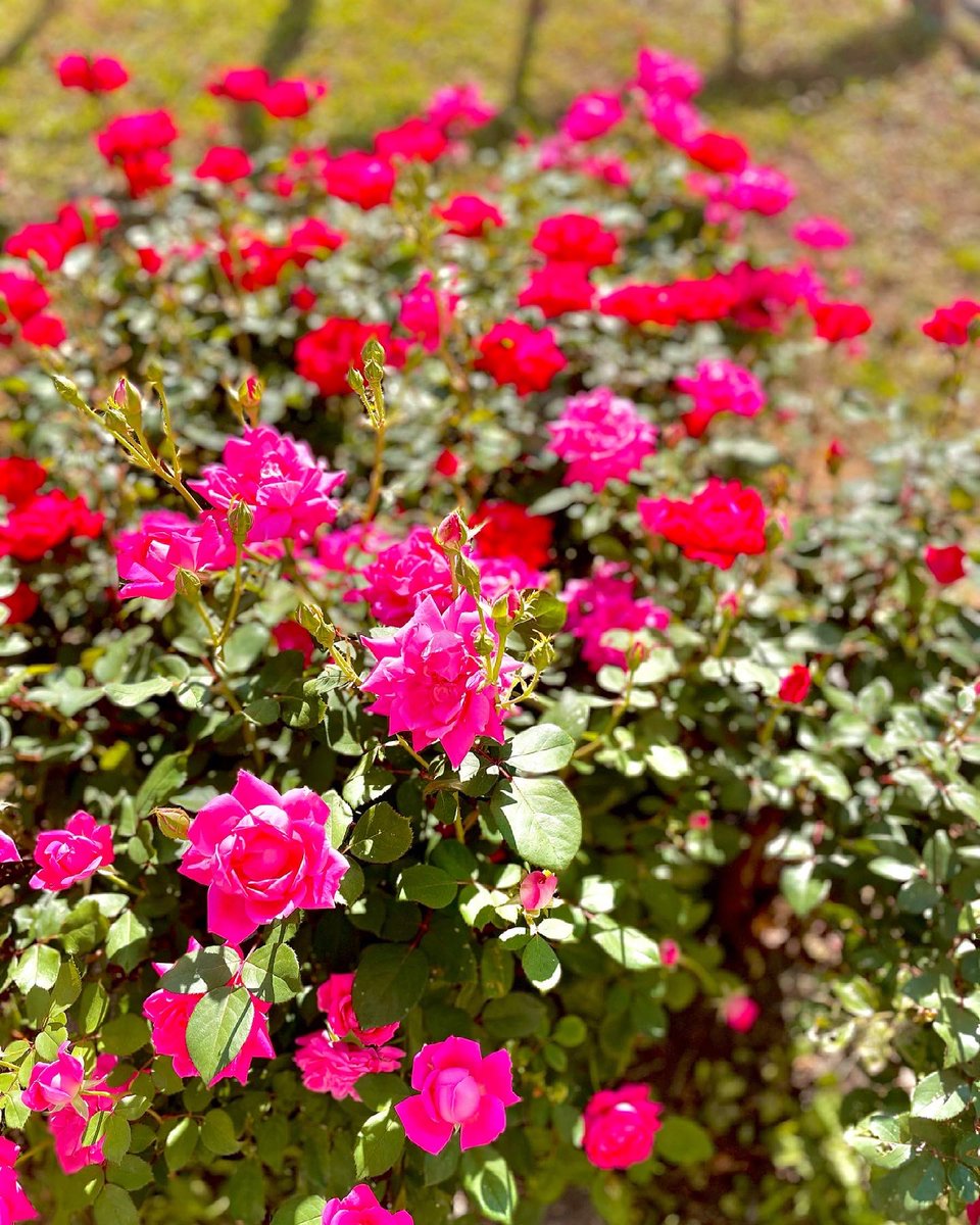 UPIKE Center for StudentSuccess tweet media