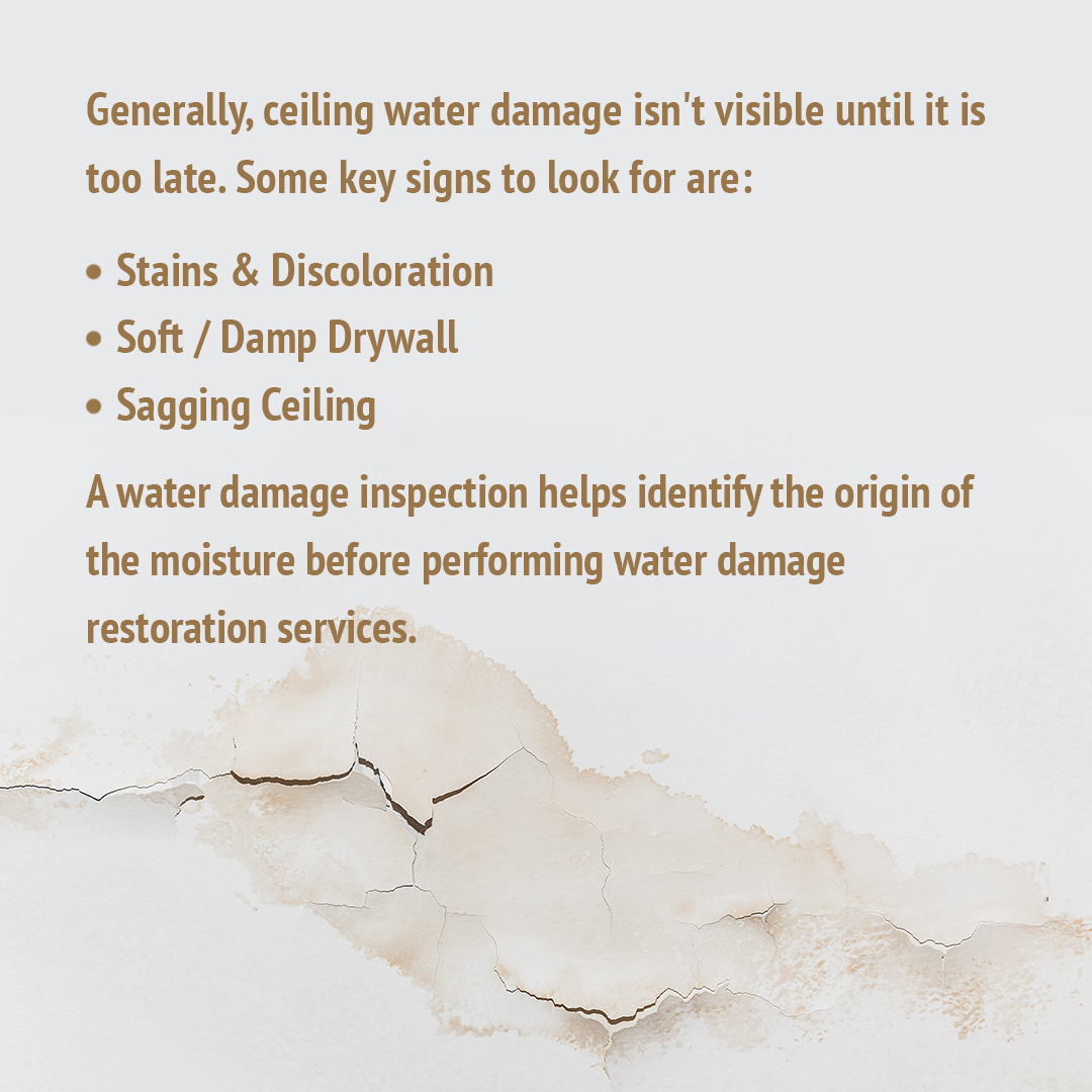 Beware of ceiling water damage! #waterdamage #waterdamagerestoration #waterdamagerestorationservices #waterrestoration #waterrestorationservices #waterdamagecompany #waterrestorationcompany