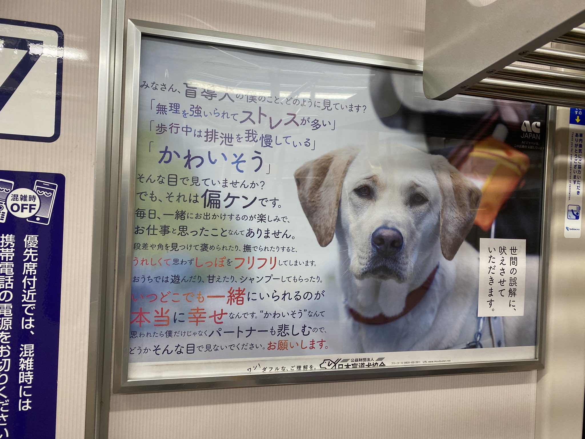 とび 盲導犬に対して可哀想 と思ったことはない この子たちの生き方に関して疑問を逡巡もしたない と言ったら嘘になるが これはあまりにも傲慢なんじゃないか 盲導犬に関して何の知識もないが 1つの考えを押し込めるのは人間でも犬でもしてはいけない