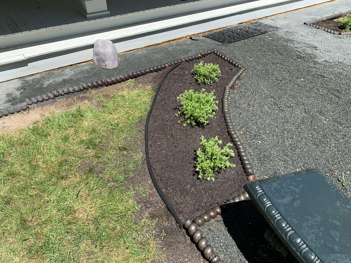 plant_daddymn's tweet image. My first client. First time laying plastic edging! Was exciting! #gardenedging #landscaping #plantdaddy #work #labor #potentilla #minnesota #minnesotalandscaping #mnlandscaping